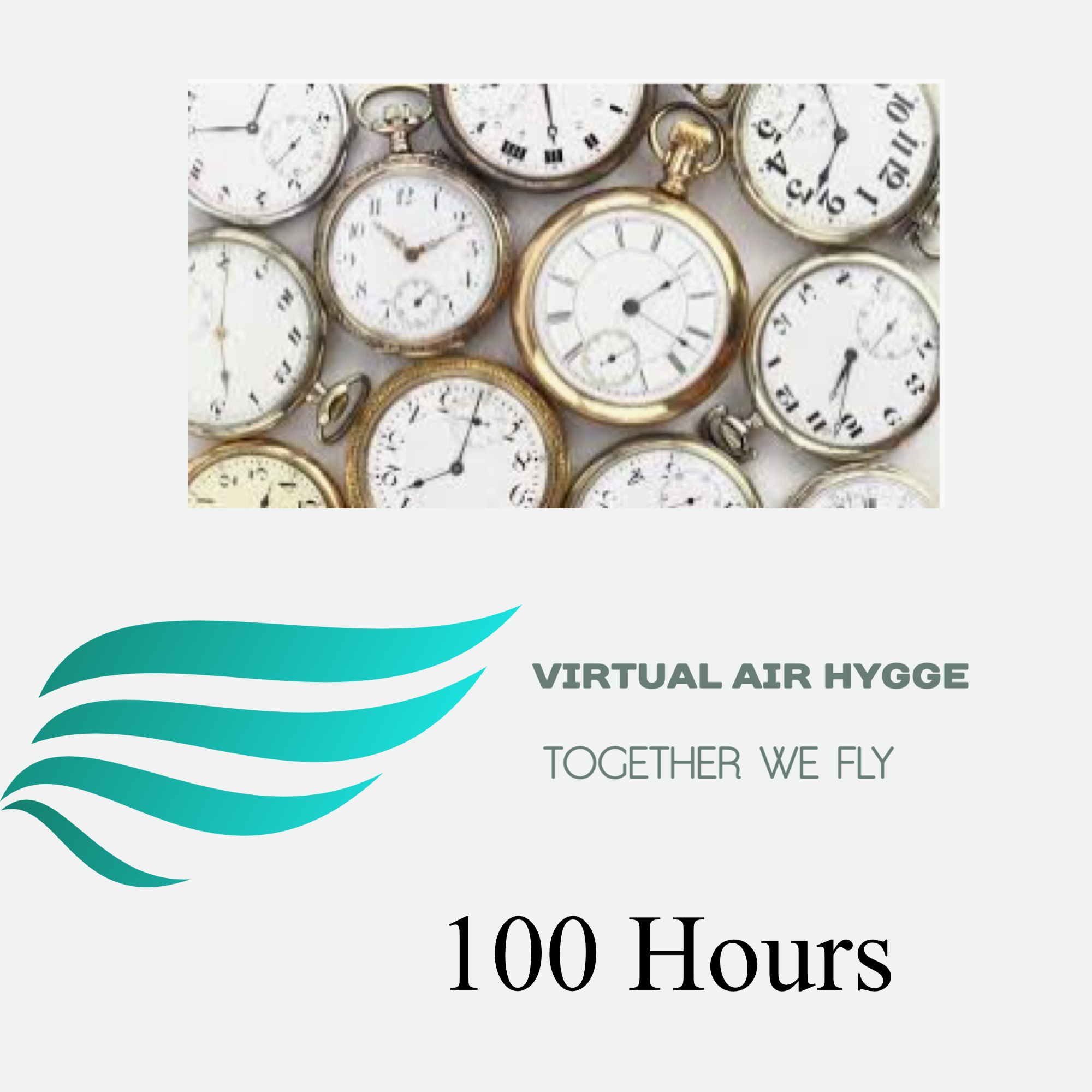Pilot 100 hours