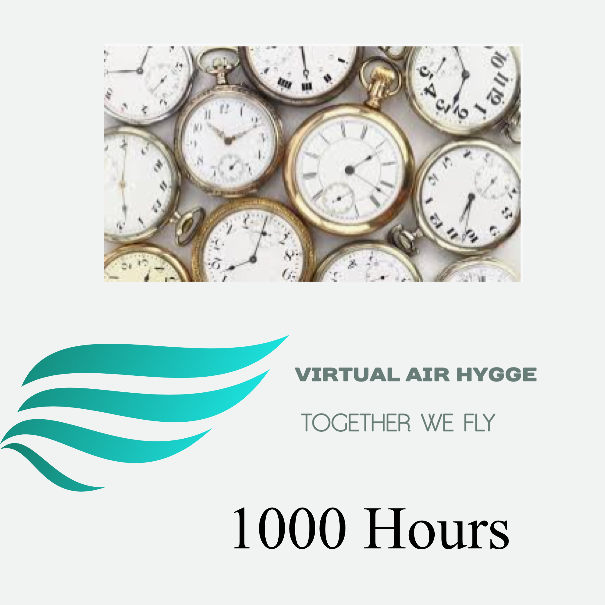 Pilot 1000 Hours