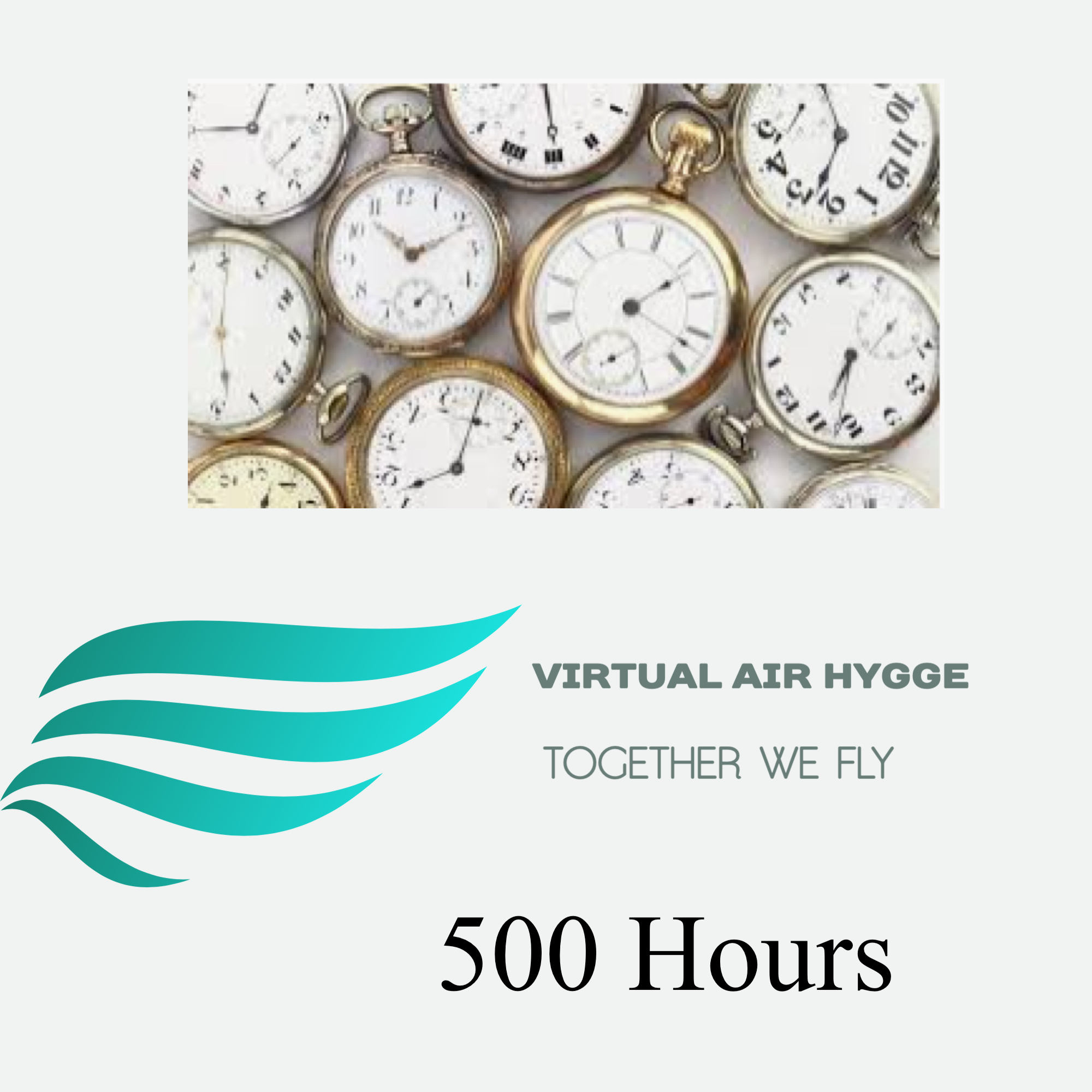 Pilot 500 Hours